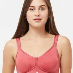 Soie Pack Of 2 Full Coverage Seamless Non Padded Minimizer Bra With T-shirt image 2