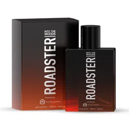 Roadster Men Into The Woods Eau De Parfum - 100 ml-image-88