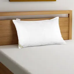 Bianca Nature Biosoya White Pillow - Set of 1-26