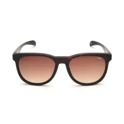 IRUS By IDEE IRS1003C4SG Brown Gradient Square Sunglasses-image-18