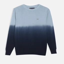 Allen Solly Boys Blue Sweater-picture-43