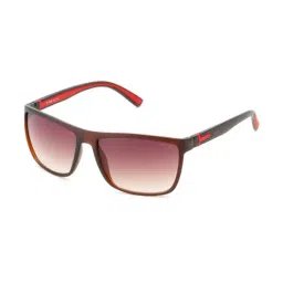 Irus Brown Square Sunglasses For Men-picture-16
