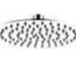Parryware 300 mm Stainless Steel Silver Wall Mount Rain Shower T9993A1-26