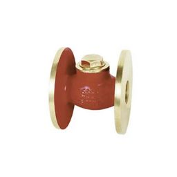 Sants 100 mm Gun Metal Horizontal Lift Check Valve IS 15-image-30
