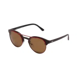 Enrico Eyewear Brown Wayfarer Unisex Sunglasses-picture-6