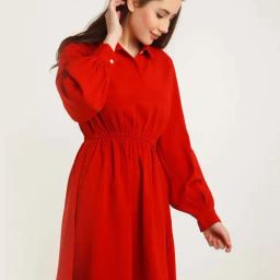 Zink London Red A-Line Dress-image-87