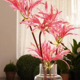 Pure Home and Living Pink Plastic Nerine Artificial Flower Stem-9