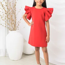 Fairies Forever Girls Velvet A-Line Dress-picture-33