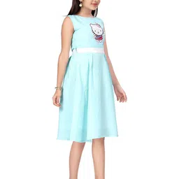 BAESD Floral Fit & Flare Dress-picture-31