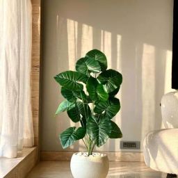 Mason Home Green Plastic Artificial Midas Pothos Plant (3 Feet)-image-56