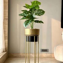 Mason Home Green Plastic Artificial Botanic Monstera Plant (2 Feet)-14