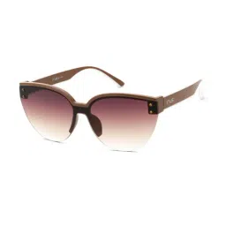 Irus Brown Cat Eye Sunglasses For Women-image-88