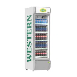 WESTERN Vertical Freezer with Canopy 340 L Single Door with 5 Sleeves, SRC381HCT-GLGY-image-15