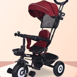 R for Rabbit Tiny Toes T40 Ace Tricycle - Maroon Black-25