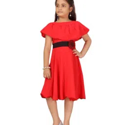 Aarika Kids Red Applique Frock-picture-4
