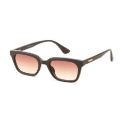 Irus Brown Rectangular Sunglasses For Women-image-39