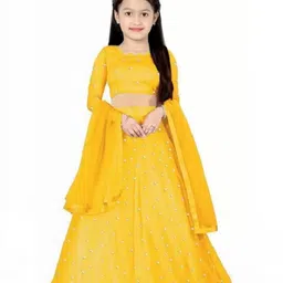 F Plus Fashion Net Semi-Stitched Lehenga Choli-picture-25