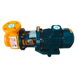 Denwell 2 HP Single Phase Horizontal Centrifugal Monoblock Pump, PPC120-6