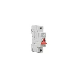 Philips Safetec Range 1 Pole Isolator 40 A Grey, 913713934549-picture-47