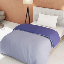 Bianca Ultra Soft Grape & Lavender 152 TC Micro Fabric Single Reversible Comforter For All Weather image 3