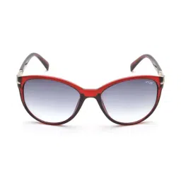 IRUS By IDEE IRS1043C3SG Blue Oval Sunglasses-image-95