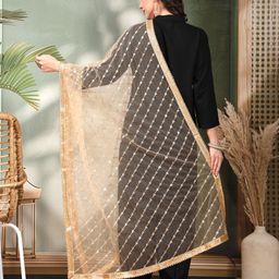 Clora Creation Striped Dupatta With Sequinned image 4