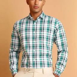 Allen Solly Multicolored Slim Fit Checks Shirt-image-39