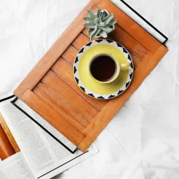 VarEesha 14 inch Steam Beech Tray with Iron Handle - Set of 1-16