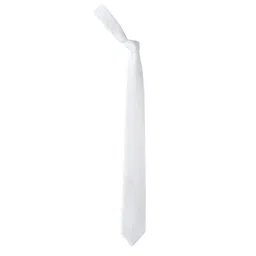 Louis Philippe White Textured Tie-image-63