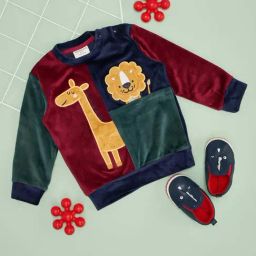 Pantaloons Baby Boys Multicolor Color Block Full Sleeves Sweatshirts & Hoodies-image-78