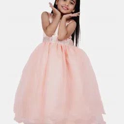 Wish little Net A-Line Maxi Dress image 1
