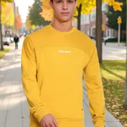 Lee Blue Regular Fit Sweatshirt-picture-19