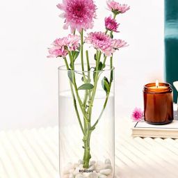 Borosil Transparent Borosilicate Glass Flower Pot Glass Vase (1300 ml)-39