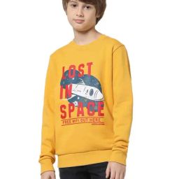 Jack & Jones Junior Yellow Printed Full Sleeves Sweatshirt-image-43