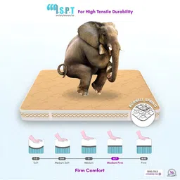 SLEEP SPA Beige Quilted Super Contour ISP Tech Bonnell Spring Single Mattress image 5