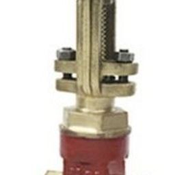 Sants 100 mm Gun Metal Gate Valve IS 31-57