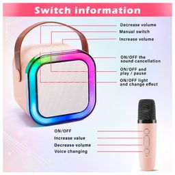 Fiddlerz Bluetooth Karaoke Speaker for Kids with Handheld 1 Mic, Learning Toy with Voice Recording, Bluetooth and USB(Pink) image 4