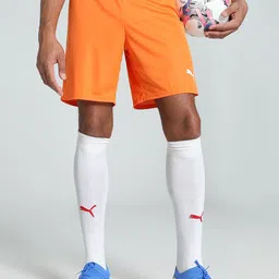 Puma TeamGOAL Men Football Shorts-17