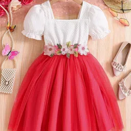 Miss & Chief Embellished Puff Sleeve Net A-Line Dress-13