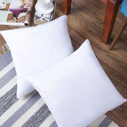 Torque 2-Pcs White Soft Vacuum Packed Square Cushion Fillers-55