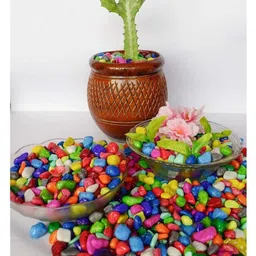 Somil Multicolor Pabbles/Stone for Garden, Plants, Aquarium & Home Decor Wt. 950g- P102-image-4
