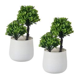RUBOXA White 2 Pieces Artificial Plant With Pot-image-0