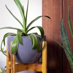 harla arts Echoing Eternity Grey Porcelain Floor Planters With Stand-picture-20