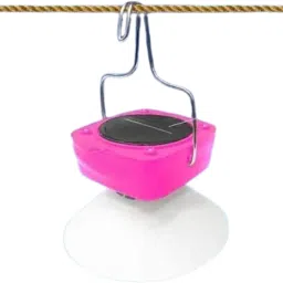 Pink Plastic Hanging Lantern-image-9