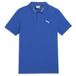 Puma Boys Mountain Blue Ottoman Youth Regular Fit Polo T-Shirt-image-20