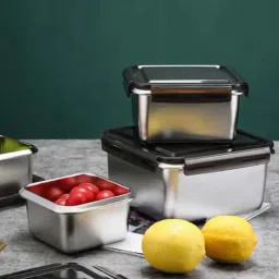 Femora Silver Steel Containers with Lid (750 ml) - Set of 2-47