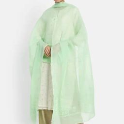 Fabindia Green Embroidered Dupatta-image-92