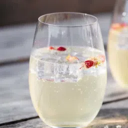 Mikasa Julie Transparent Glass Wine Glass (0.561 L) - Set of 4-25