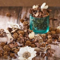 Fabindia Shushk White Magnolia Potpourri-image-44