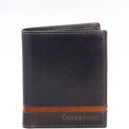 Calvadoss Men Leather Two Fold Wallet-25